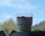 pannacotta-00854.jpg